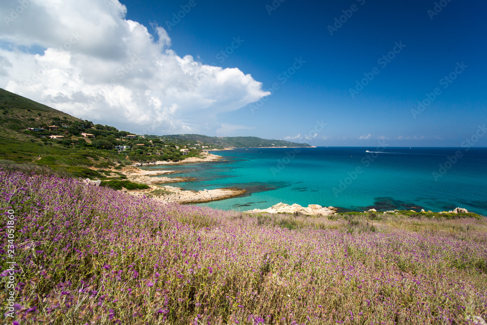Mittelmeerküste beim Cap Taillat, Frankreich
