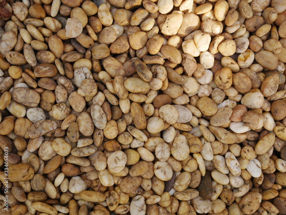 rock stone background,pebbles on the beach rock stone background,pebbles on the beach