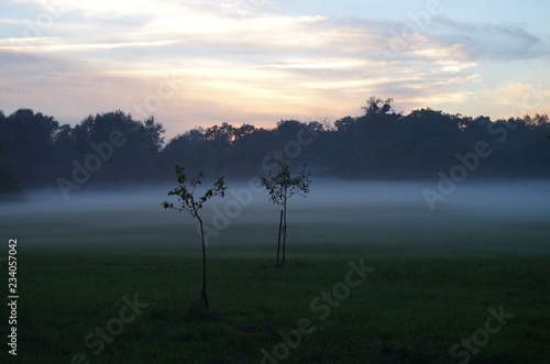 Herbstliche Abendstimmung mit B  umen im Nebel