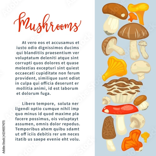 Ripe forest mushrooms of all edible species on promotional poster with sample text