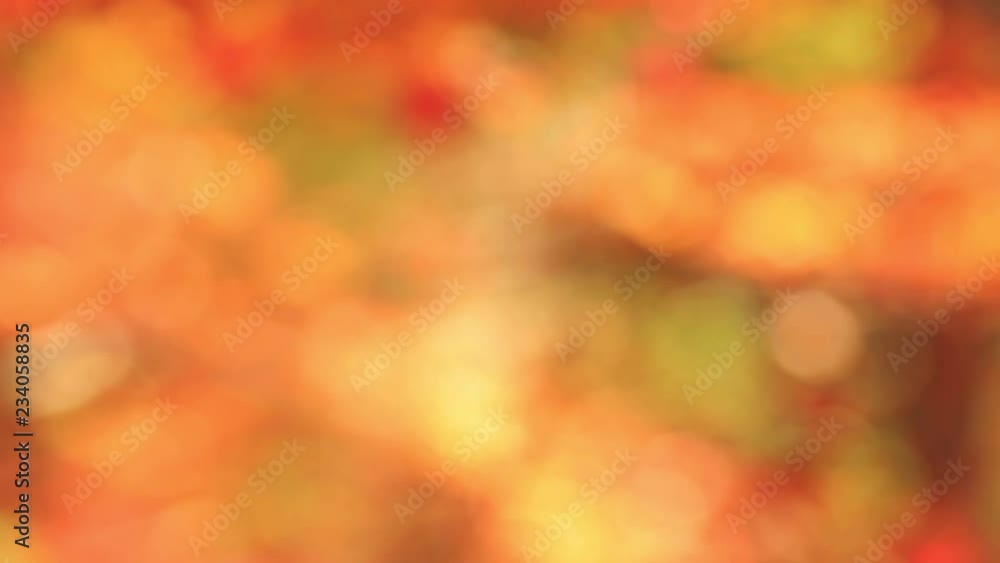 Pan dolly shot of autumn colorful blurred background in yellow-orange tones. Pan dolly shot of autumn colorful blurred background in yellow-orange tones.