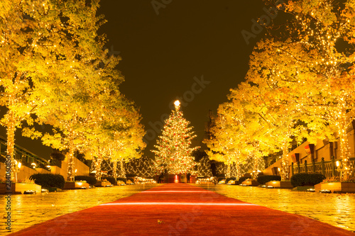 クリスマスツリー