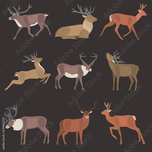Deer in various poses color flat icons set
