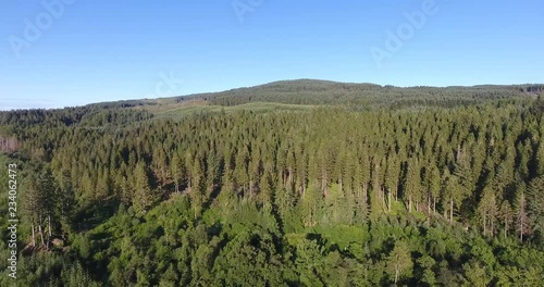 Slow Drone Shot of a Scottish Forest with Sunlight Breaking Through