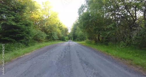 Slow Drone Shot of a Scottish Forest with Sunlight Breaking Through