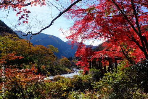 御岳渓谷の紅葉