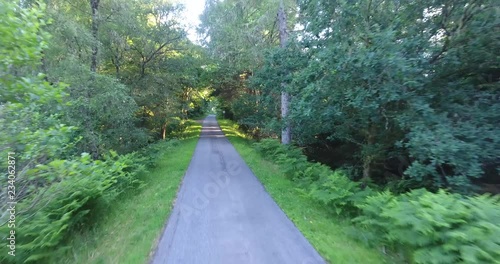 Slow Drone Shot of a Scottish Forest with Sunlight Breaking Through