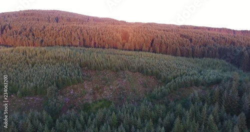 Slow Drone Shot of a Scottish Forest with Sunlight Breaking Through