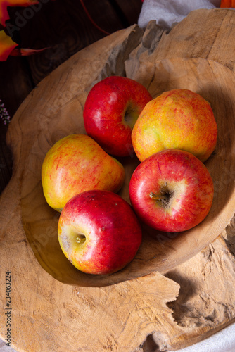 Malus sylvestris, the tasty European crab apple, photo