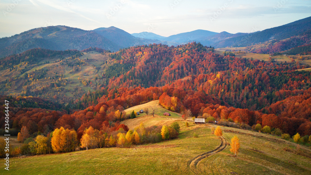 Beautiful mountain autumn landscape with meadow and colorful forest - obrazy, fototapety, plakaty 