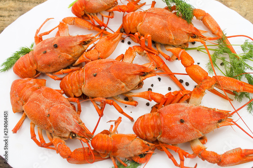 Cooked juicy red crayfish in a plate on a wooden table with a dill