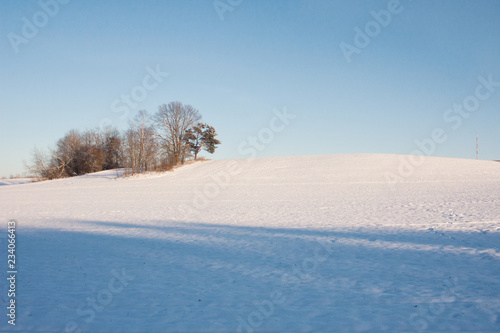 Snowy sunny field with an island of trees.