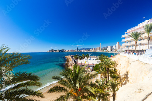 Poniente beach with palm trees  the port  skyscrapers and mountains   Benidorm Spain