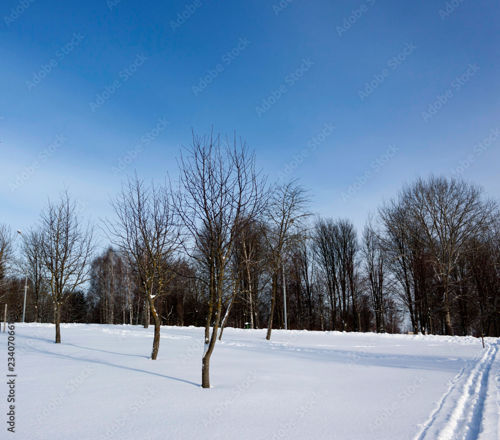 Winter landscape in the park Morning ski run on white snow against the blue sky