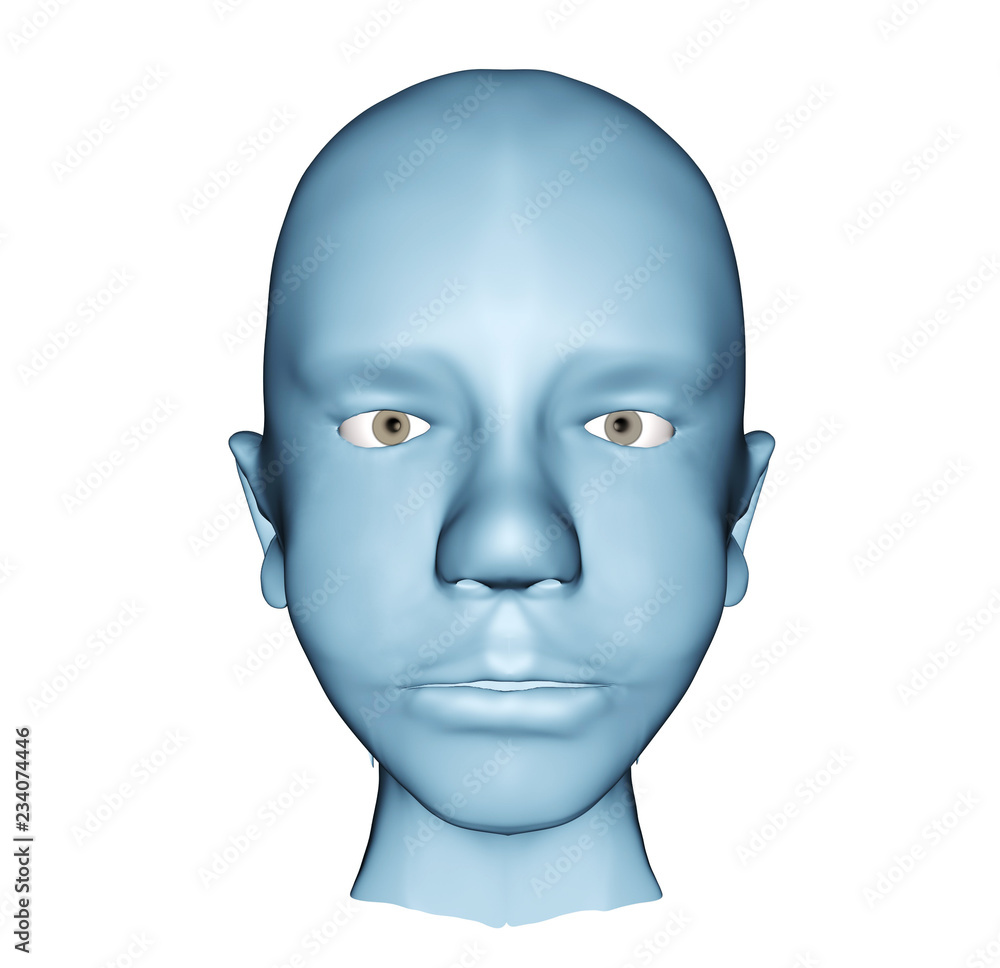 3d human head illustraiton front view 3d human head illustraiton front view
