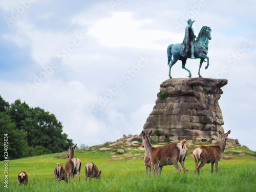 A herd of deer at Windsor Great Park in front of King George III statue 