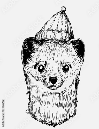 Sketch of marten. Hand drawn illustration converted to vector