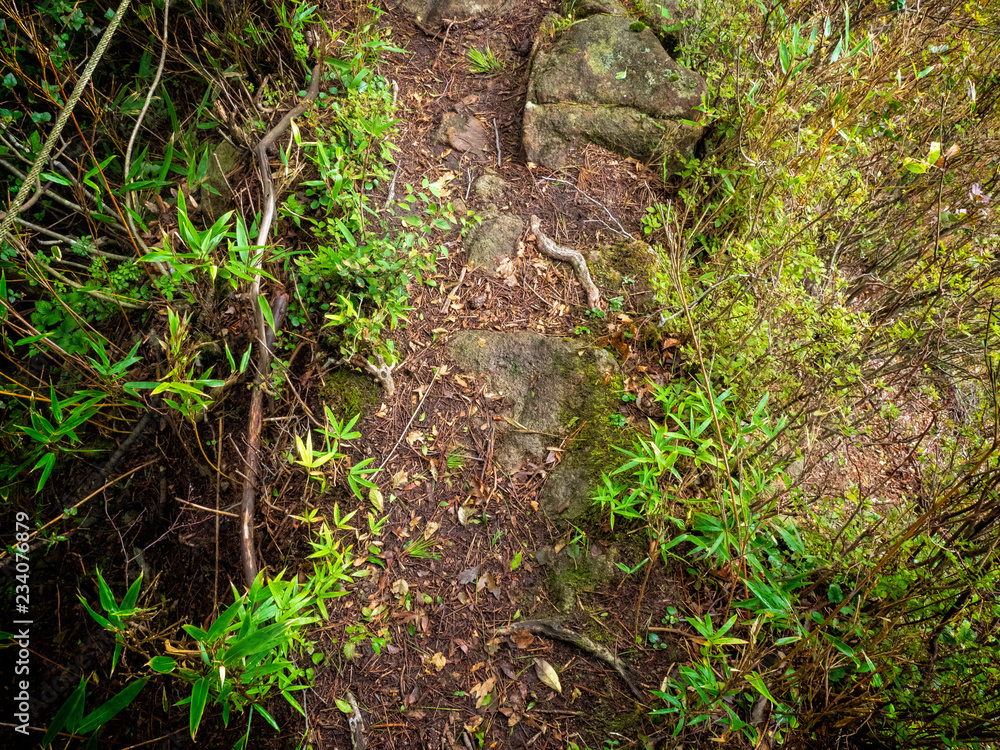 Obraz premium OLYMPUS DIGITAL CAMERA