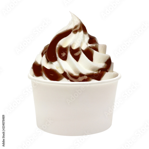 Bild auf Leinwand Soft ice cream or Vanilla frozen yogurt with chocolate sauce in white blank take