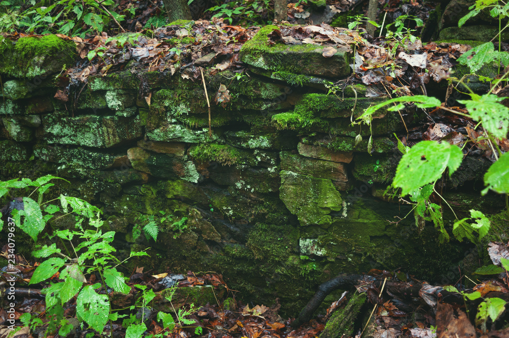 An old stone wall in the woods is overgrown and decaying. Moss and leaves cover the stacked stones. Autumn. Horizontal image. An old stone wall in the woods is overgrown and decaying. Moss and leaves cover the stacked stones. Autumn. Horizontal image.