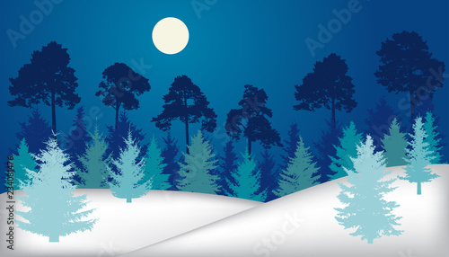 Night forest (fir trees, pines), winter landscape, silhouette. Vector illustration
