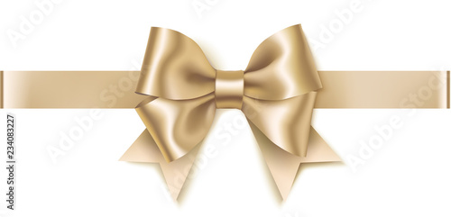 Decorative platinum bow with horizontal ribbon isolated on white background. Holiday decoration. Vector illustration