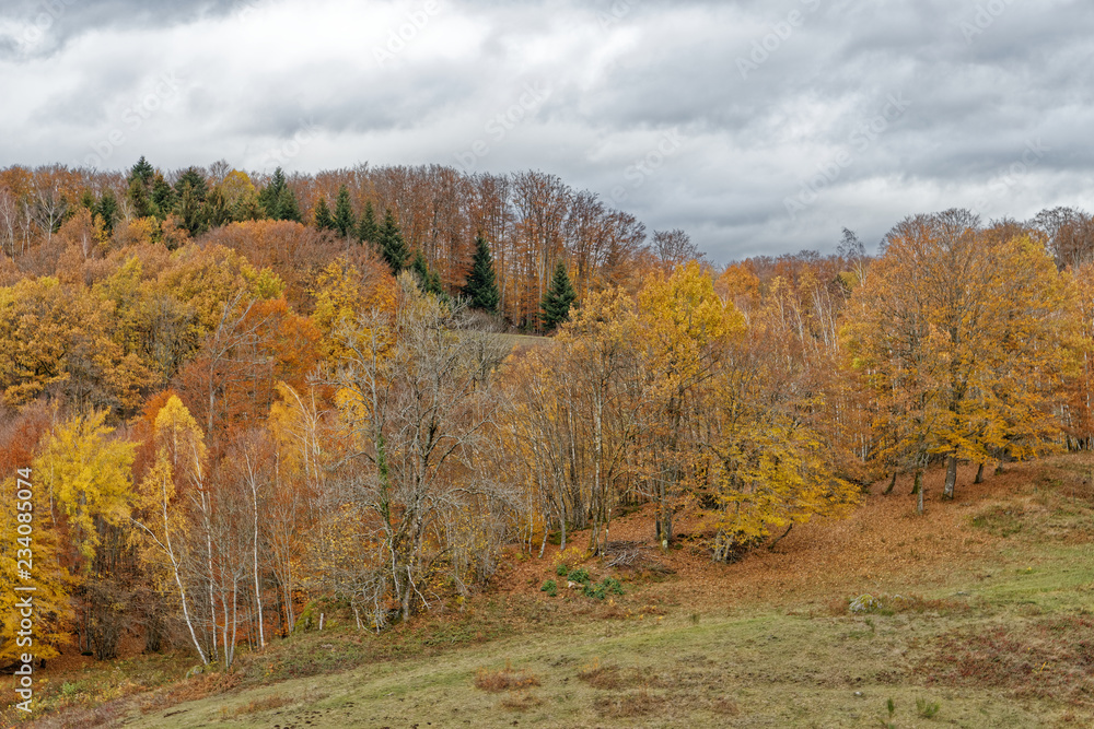 Paysage des Vosges