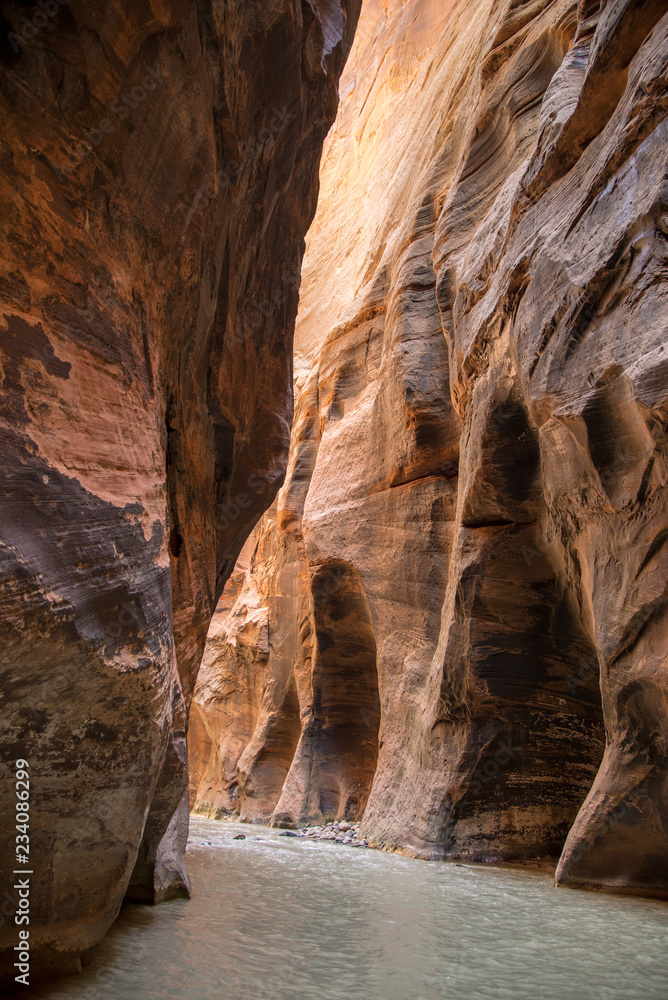 licht- und schattenspiel im Zion Narrows canyon mit Fluss, Zion National Park, USA 