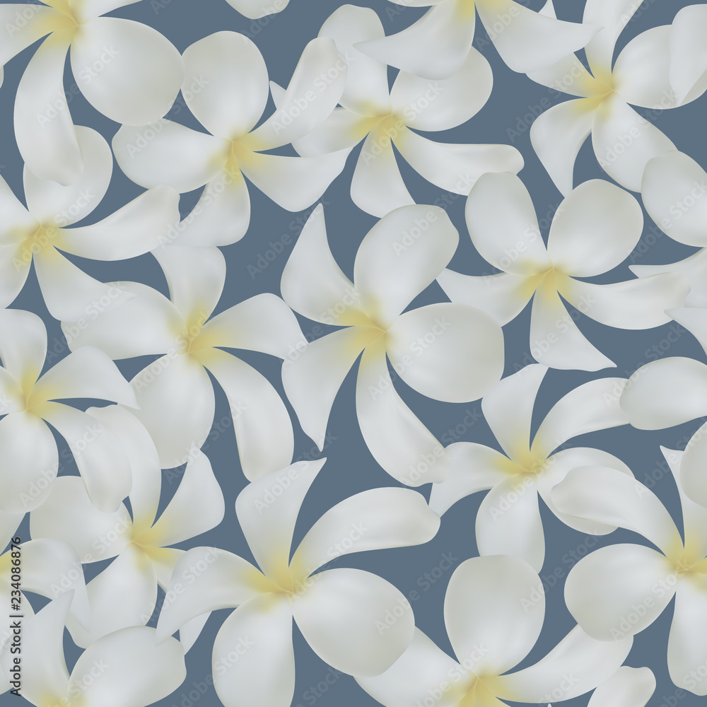 Seamless background. Plumeria, frangipani, tropics. Seamless background. Plumeria, frangipani, tropics.