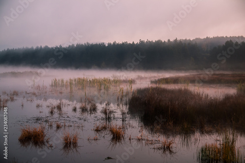 morning mist over a lake