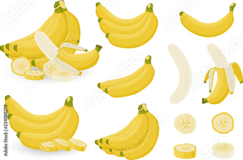 Bright vector set of bunches of fresh banana and slices of bananas. Sweet Yellow cartoon single, peeled banana and bunch of bananas isolated on white background.