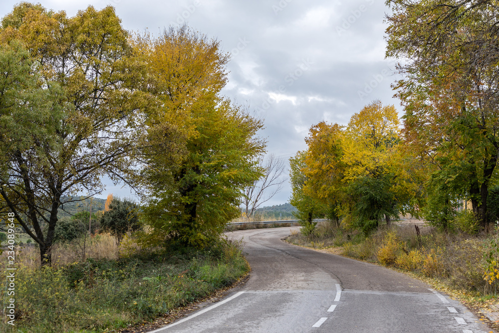 Fototapeta premium Autumn colors in the leaves of the trees in La Pedriza, in the Regional Park of the Manzanares of Madrid