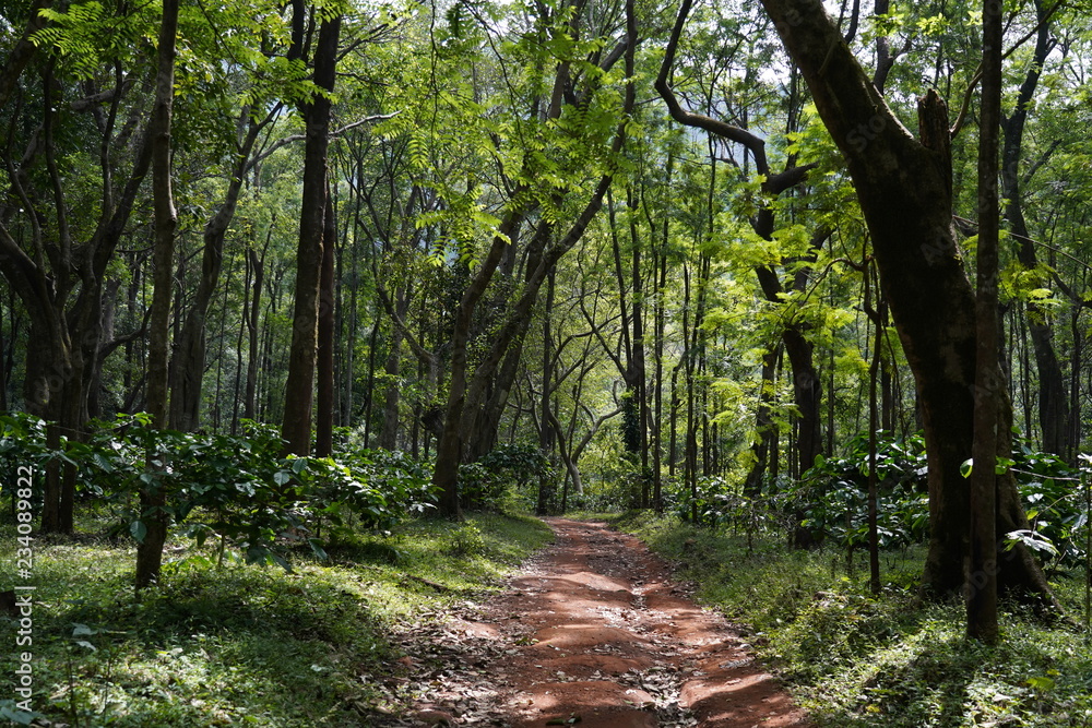 Fototapeta premium Nature Photography