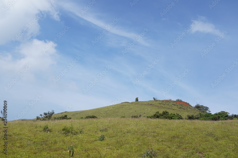 Obraz premium Nature Photography