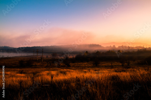 Fototapeta Naklejka Na Ścianę i Meble -  meadow in fog