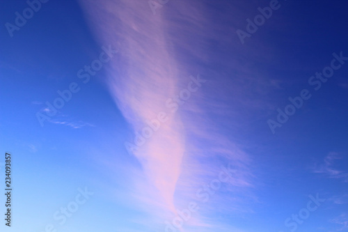 Thin cirrus clouds. Vertical view. Background. Landscape.
