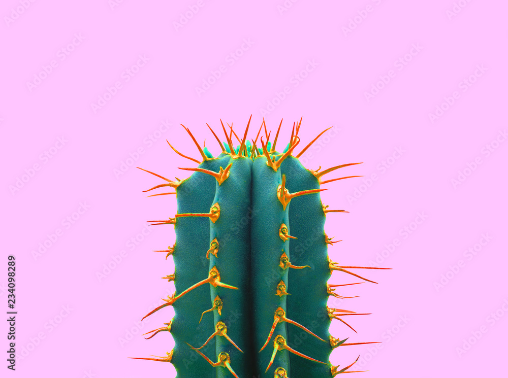 Obraz Cactus modne jasne kolory. Zielony neonowy nastrój na różowym tle