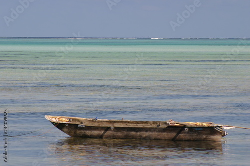 paysage 