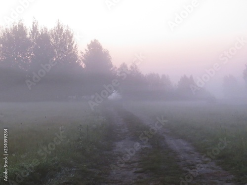 Road with Sun Beam in Beautiful Nature Wild Landscape Sunrise with Foggy Mist