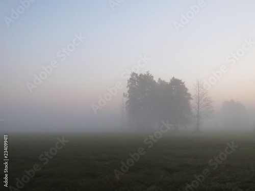 Beautiful Nature Wild Landscape During Sunrise with Foggy Mist