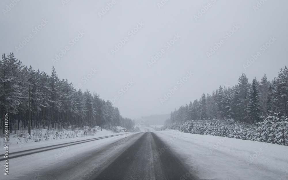 Winter forest. Good for Christmas background Winter forest. Good for Christmas background