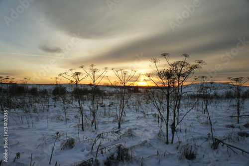 Winter landscape. Good for Christmas background