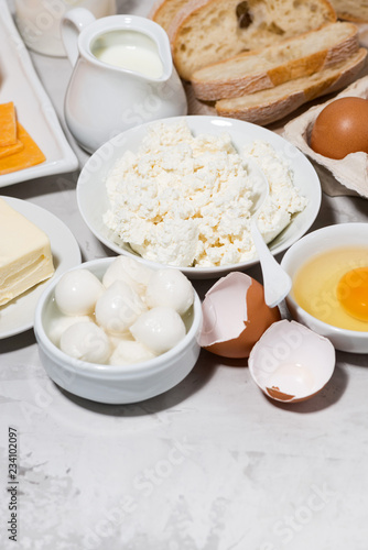 Wallpaper Mural assortment of fresh dairy products, vertical top view Torontodigital.ca