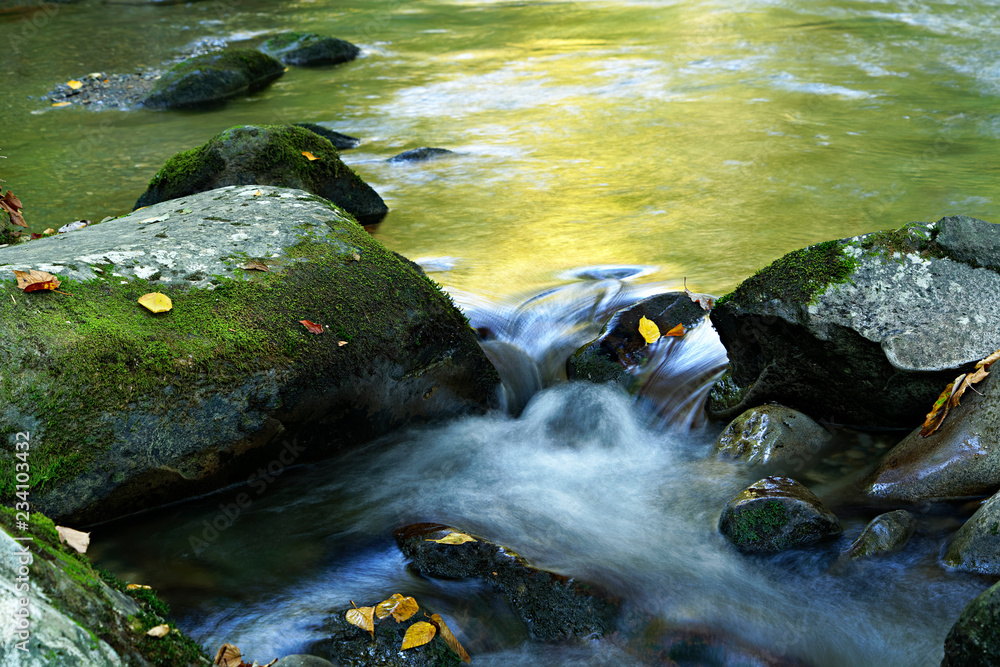 Fotografie Boulders & Leaves & Cascades