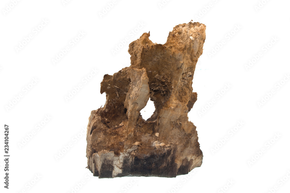 firewood isolated on white background firewood isolated on white background
