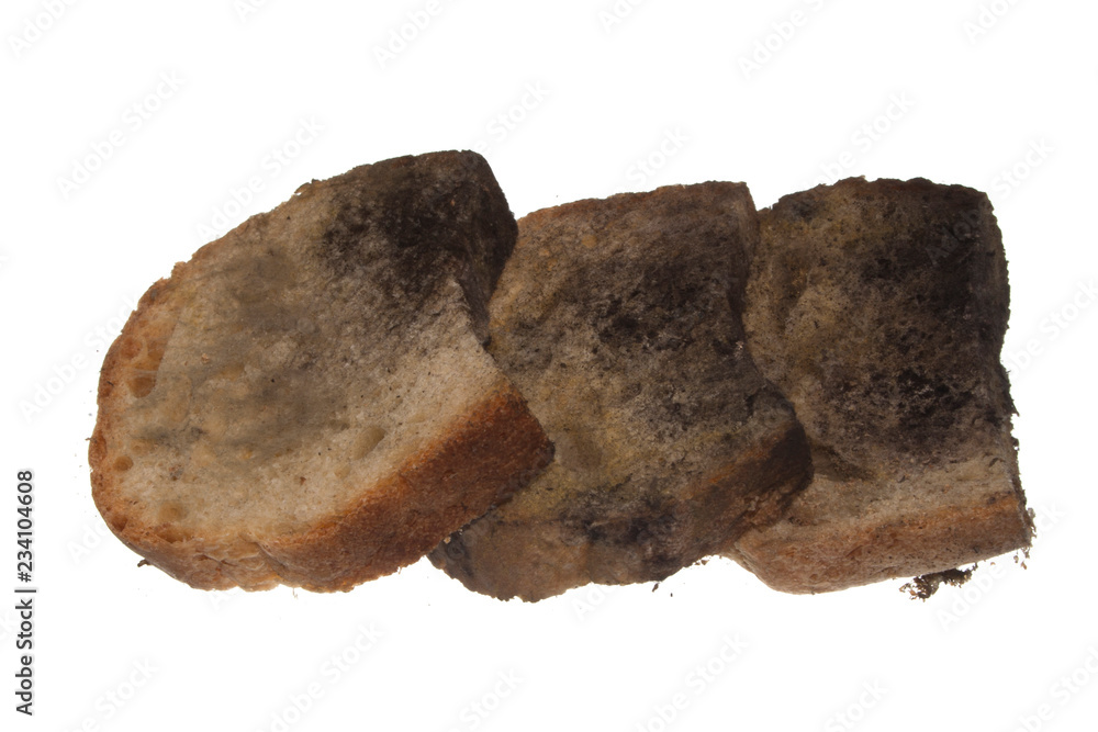 spoiled bread isolated on white background