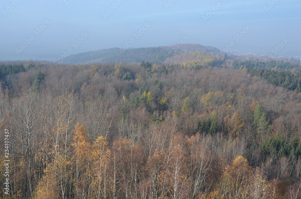 Neblig dunstige Hügellandschaft am Herbstwald mit Ausblick auf Hügellandschaft