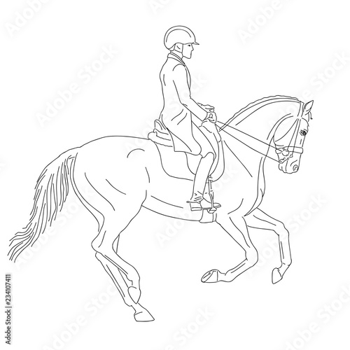 Fototapeta Naklejka Na Ścianę i Meble -  Simple outline of the dressage rider and horse performing canter. 