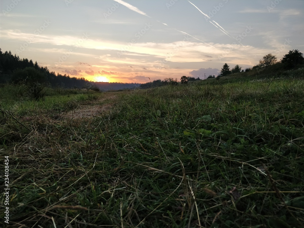 Obraz premium sunset over field