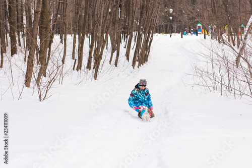 Jack Russell Terrier dog with owner woman playing in the winter outdoors.